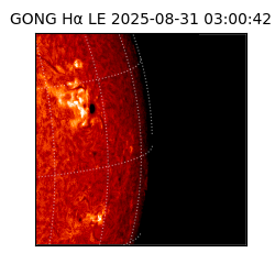 gong - 2025-08-31T03:00:42