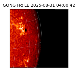 gong - 2025-08-31T04:00:42
