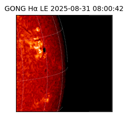 gong - 2025-08-31T08:00:42