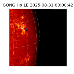 gong - 2025-08-31T09:00:42