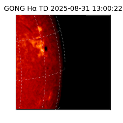 gong - 2025-08-31T13:00:22