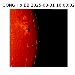 gong - 2025-08-31T16:00:02
