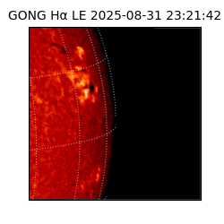 gong - 2025-08-31T23:21:42