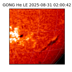 gong - 2025-08-31T02:00:42