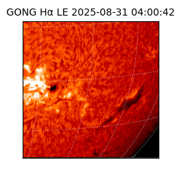gong - 2025-08-31T04:00:42