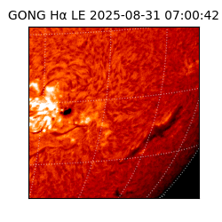 gong - 2025-08-31T07:00:42