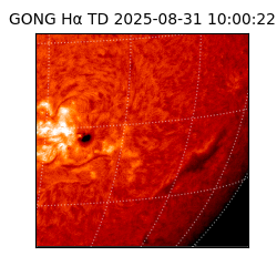 gong - 2025-08-31T10:00:22