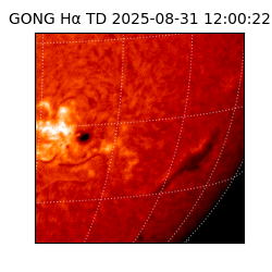 gong - 2025-08-31T12:00:22