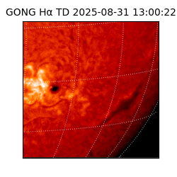 gong - 2025-08-31T13:00:22