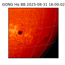 gong - 2025-08-31T16:00:02