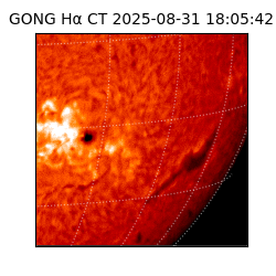 gong - 2025-08-31T18:05:42