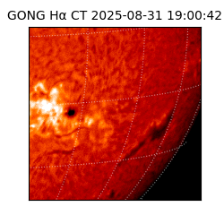 gong - 2025-08-31T19:00:42