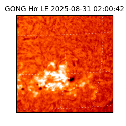 gong - 2025-08-31T02:00:42