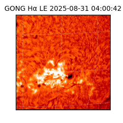 gong - 2025-08-31T04:00:42