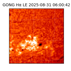 gong - 2025-08-31T06:00:42