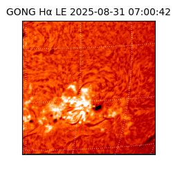 gong - 2025-08-31T07:00:42