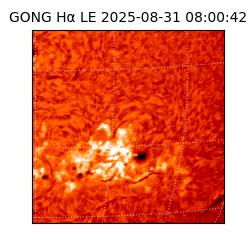 gong - 2025-08-31T08:00:42