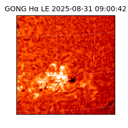 gong - 2025-08-31T09:00:42