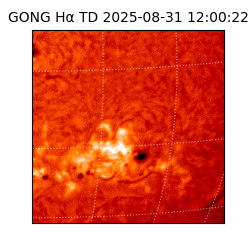 gong - 2025-08-31T12:00:22