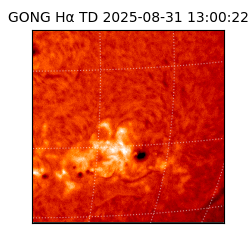 gong - 2025-08-31T13:00:22