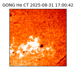 gong - 2025-08-31T17:00:42