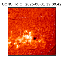 gong - 2025-08-31T19:00:42