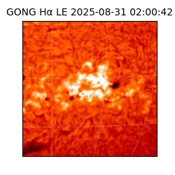 gong - 2025-08-31T02:00:42