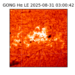 gong - 2025-08-31T03:00:42