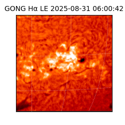 gong - 2025-08-31T06:00:42