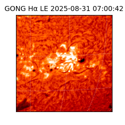 gong - 2025-08-31T07:00:42