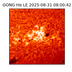 gong - 2025-08-31T08:00:42