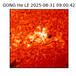 gong - 2025-08-31T09:00:42