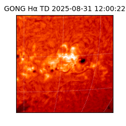 gong - 2025-08-31T12:00:22