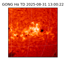 gong - 2025-08-31T13:00:22