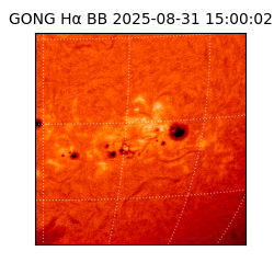 gong - 2025-08-31T15:00:02