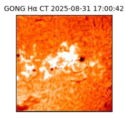 gong - 2025-08-31T17:00:42