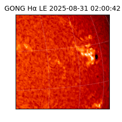 gong - 2025-08-31T02:00:42