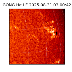 gong - 2025-08-31T03:00:42