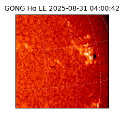 gong - 2025-08-31T04:00:42