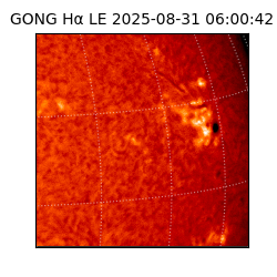 gong - 2025-08-31T06:00:42