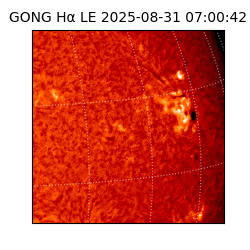 gong - 2025-08-31T07:00:42