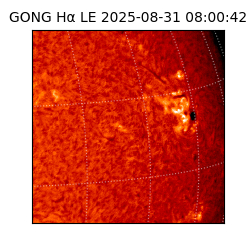 gong - 2025-08-31T08:00:42