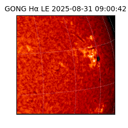 gong - 2025-08-31T09:00:42