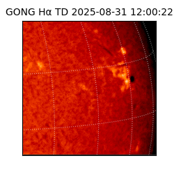 gong - 2025-08-31T12:00:22