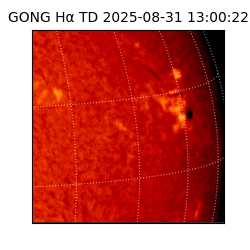 gong - 2025-08-31T13:00:22