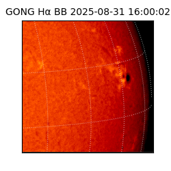 gong - 2025-08-31T16:00:02