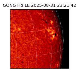 gong - 2025-08-31T23:21:42