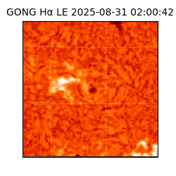 gong - 2025-08-31T02:00:42