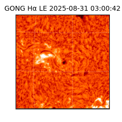 gong - 2025-08-31T03:00:42