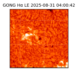 gong - 2025-08-31T04:00:42